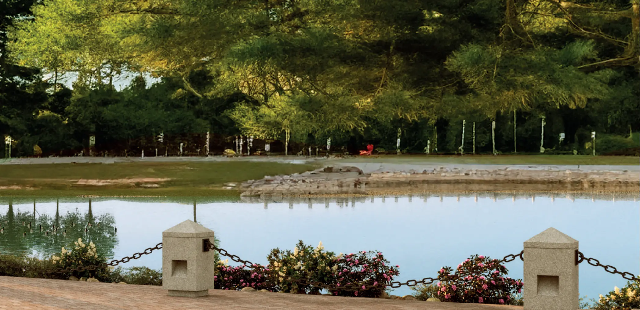 Lago de Privada Bosques